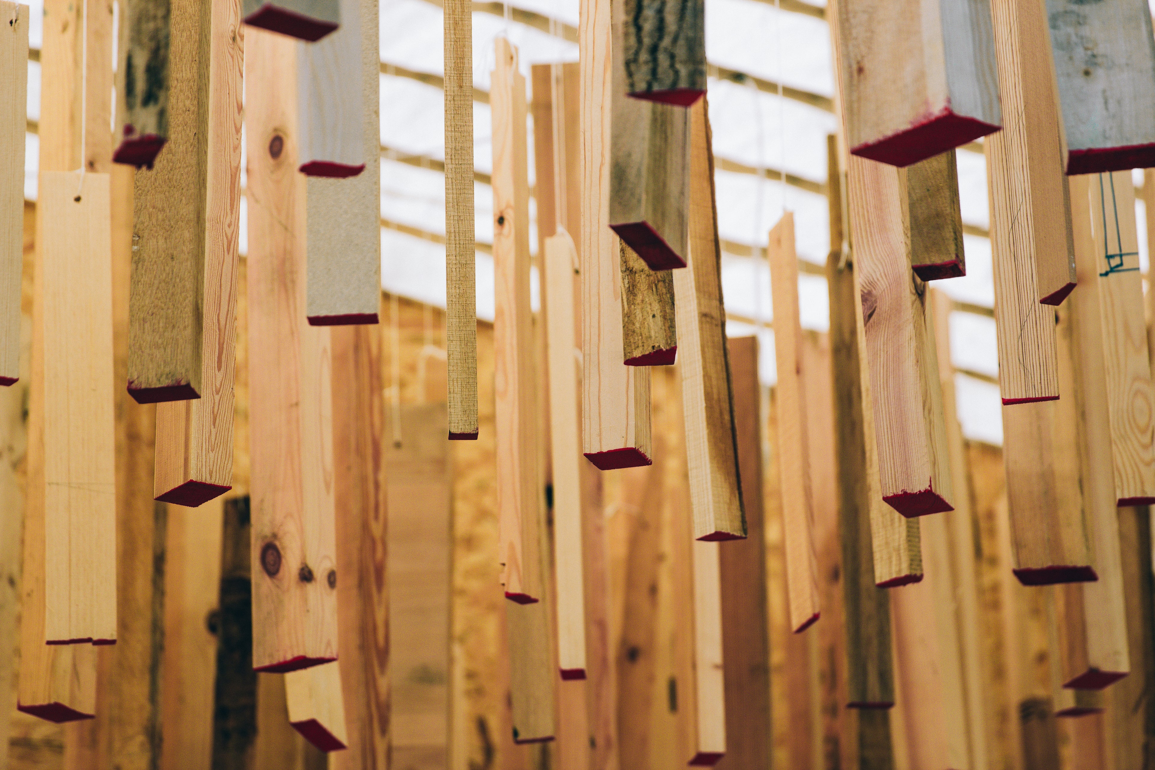 slider image 1621243260e1af0c20-1